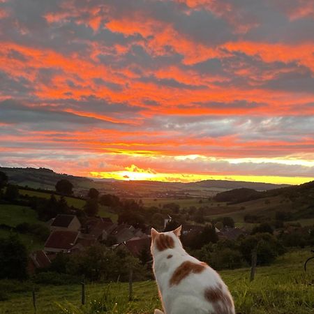 La Petite Maison Dans La Campagne Massingy-lès-Vitteaux Kültér fotó