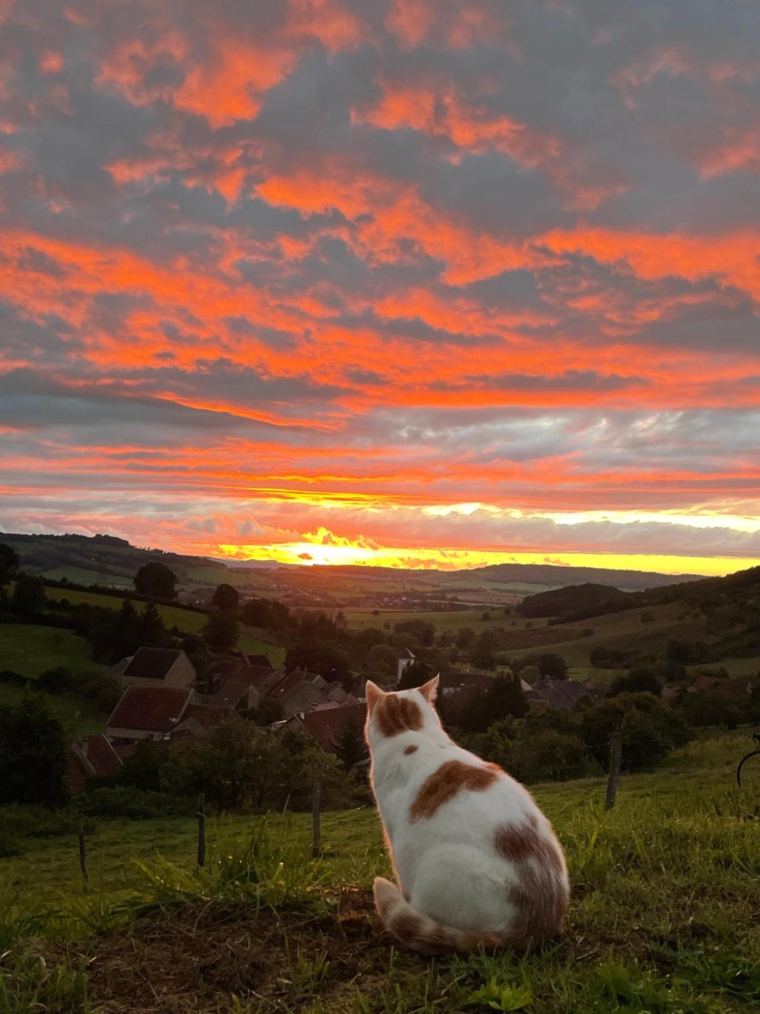 La Petite Maison Dans La Campagne Massingy-lès-Vitteaux Kültér fotó